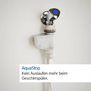 Bosch EXCLUSIV SMS4EBI01D Serie 4 Freistehender Geschirrspüler, 60 cm  Home Connect Silver Inox