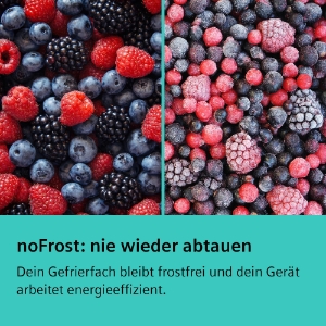 Siemens Extraklasse GS36NGXEV Gefrierschrank Stand  NoFrost Schwarz   186 x 60 cm