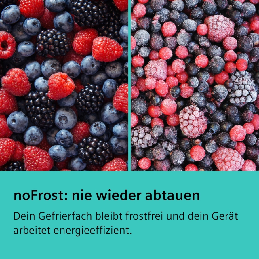 Siemens Extraklasse GS36NGXEV Gefrierschrank Stand  NoFrost Schwarz   186 x 60 cm