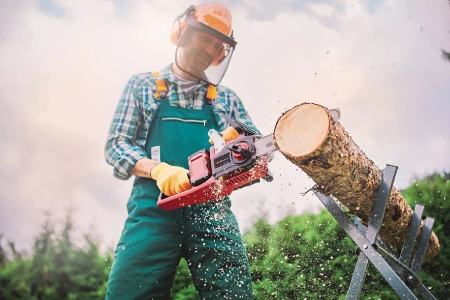 Einhell GP-LC 36/35 Li-Solo PROFESSIONAL Akku-Kettensäge  