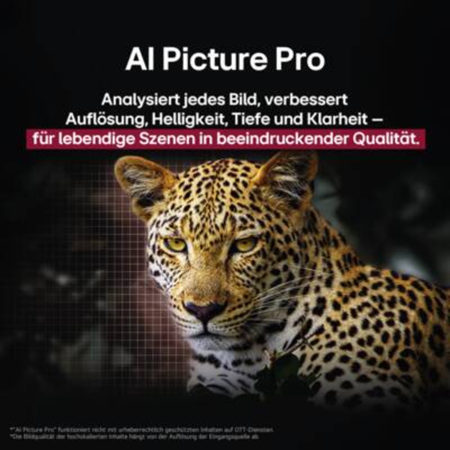 LG OLED48G59LS.AEU 4K OLED evo Gallery Design Smart TV 
