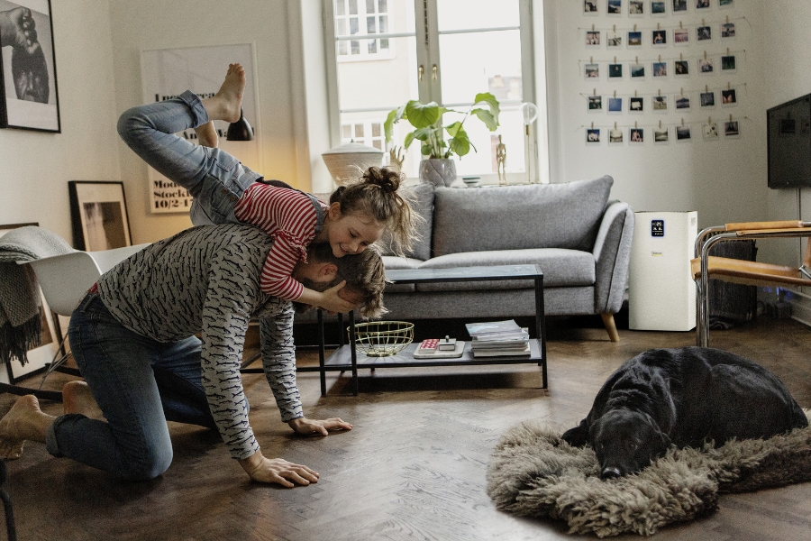 Kärcher Air Purifier AF 50 Luftreiniger 1.024-822.0