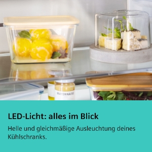 Siemens KI31R2FE0 Kühlschrank Einbau 102cm Weiss Festtür