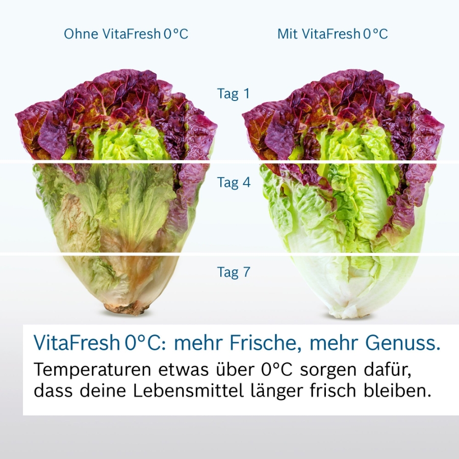 Bosch KGN392LAG Kühl-Gefrierkombination NoFrost VitaFresh XXL 0°C,Metall-Optik