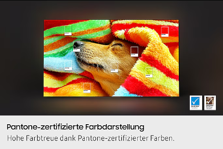 Samsung QE43Q7FA QLED 4K Smart TV Fernseher 43 Zoll Ausstellungsstüc 